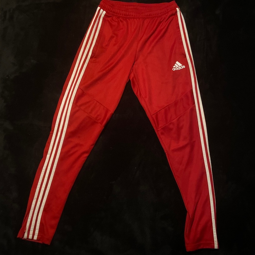 Men’s Adidas Tiro 19 Track Pants in Red (S)